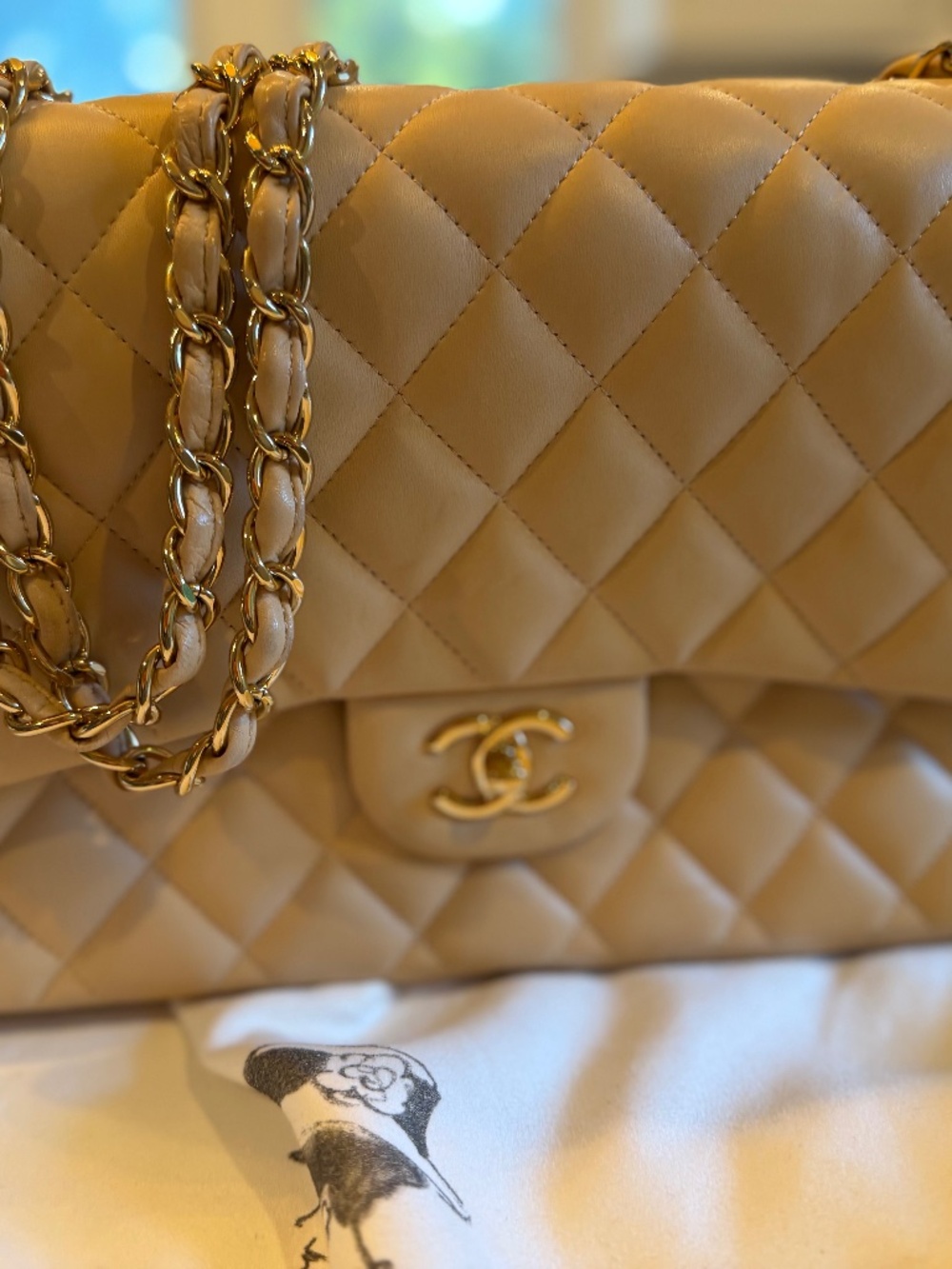 Chanel Quilted Flap Bag